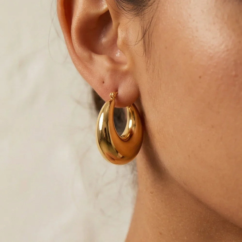Mystery Earrings